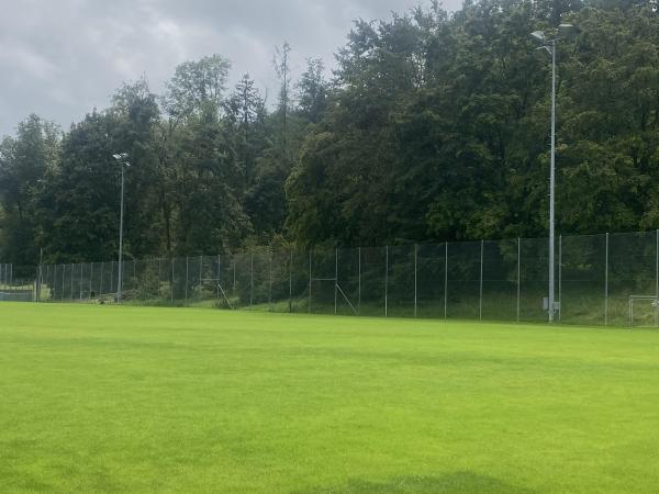 Sportanlage Buchlern Platz 8 - Zürich