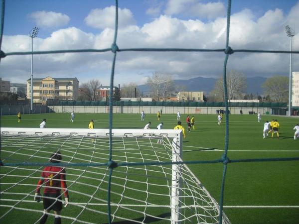 Vitali Daraselia Academy - Tbilisi
