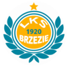 Wappen LKS Brzezie