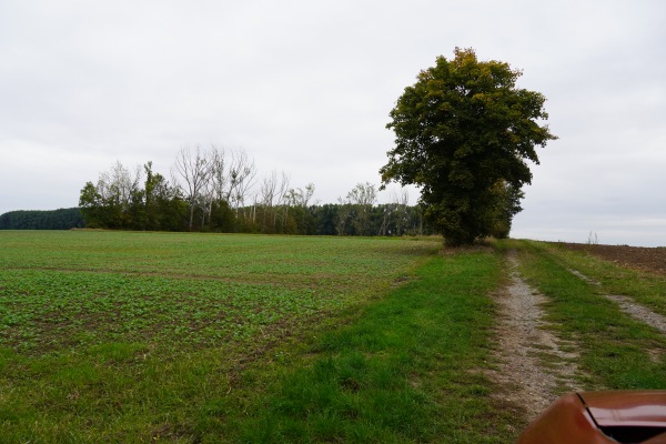 Sportplatz Remkersleben - Wanzleben-Börde-Remkersleben