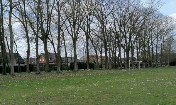 Sportplatz am Schützenhaus - Essen (Oldenburg)
