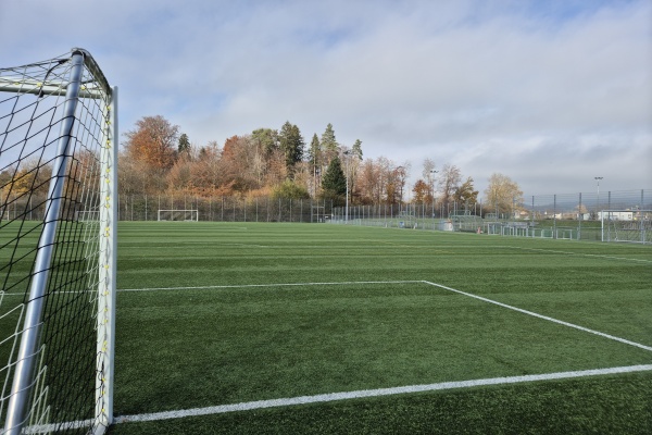 Sportanlage Barzloo Kunstrasenplatz - Pfäffikon ZH