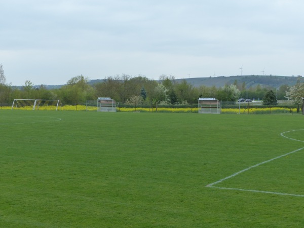 Weingarten-Arena - Dettelbach