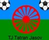 Wappen TJ Tatran Jasov  129466
