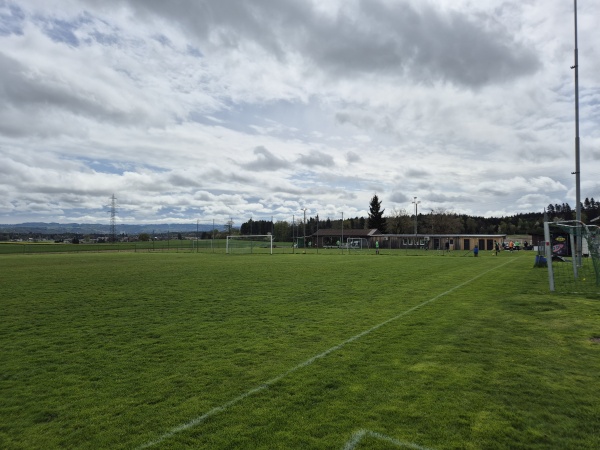 Sportplatz Riedweg Nord - Grafenried