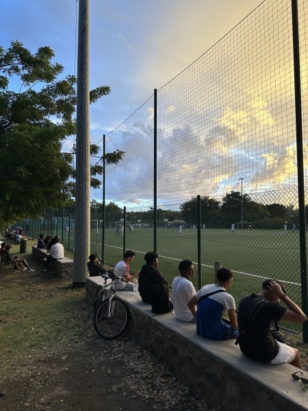 Complex Sportif de la Palmeraie - Saint-Paul