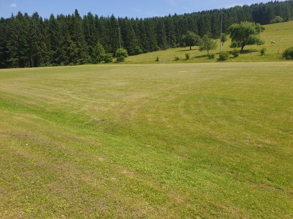 Sportgelände Im Pfaffenholz Platz 2 - Schopfloch/Schwarzwald