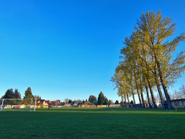 Sportplatz Großgräfendorf - Bad Lauchstädt-Großgräfendorf