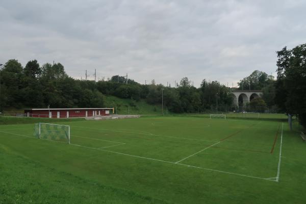 Sportplatz Dammweg - Goldach