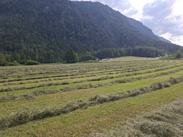 Sportplatz Ettal - Ettal