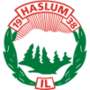 Wappen Haslum IL  105546