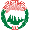 Wappen Haslum IL