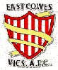 Wappen East Cowes Vics AFC  7060
