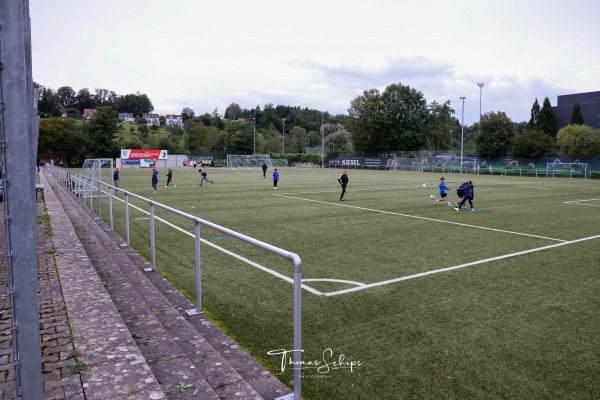 Cteam arena Nebenplatz 1 - Ravensburg