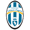Wappen FC Zagon  10667