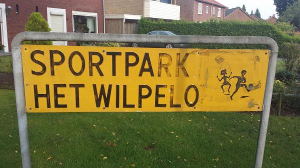 Sportpark 't Wilpelo veld 2 - Losser-Overdinkel