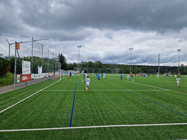 Sportanlage Fallacher - Küsnacht ZH