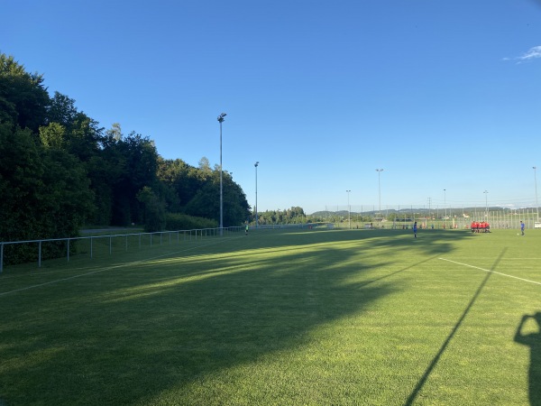 Sportanlage Rolli Platz 2 - Seuzach