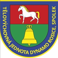 Wappen TJ Dynamo Rosice