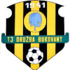Wappen TJ Družba Bukovany