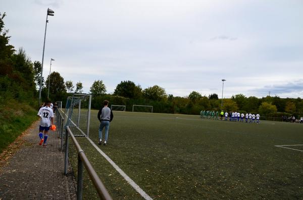 Riedstadion Nebenplatz - Steinheim/Murr