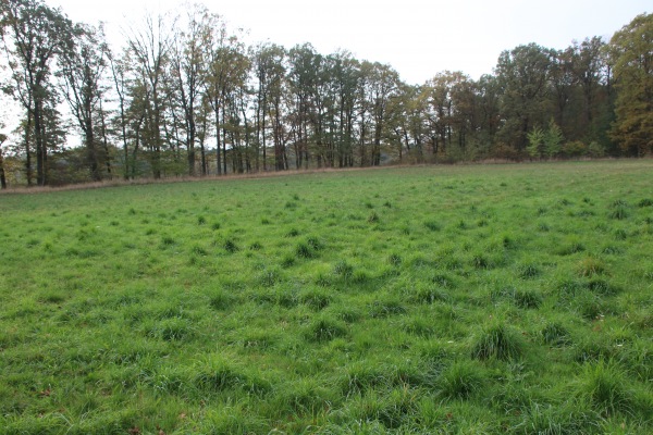 Sportplatz Froitzheim - Vettweiß-Froitzheim