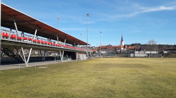 Helmut Weswaldi Sportzentrum Nebenplatz - Hitzendorf