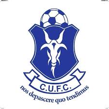 Wappen Colepark United FC