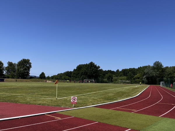Stadion Města Bor - Bor