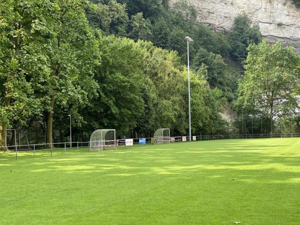 Terrain de Derrière-les-Jardins - Fribourg