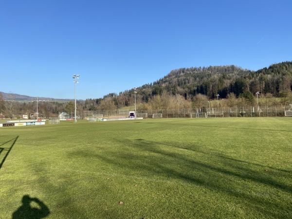 Sportplatz Lättich Platz 2 - Baar