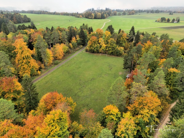 Lerchenfeld-Sportplatz - Albstadt-Langenwand