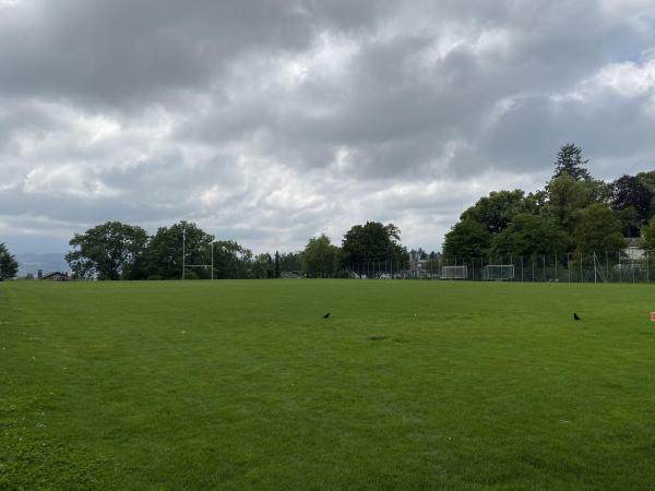 Stade du Guintzet terrain 5 - Fribourg