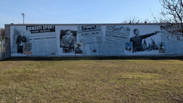 Fehér Úti Sporttelep műfüves pálya - Budapest