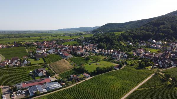Sportplatz Am Schloßberg - Burrweiler