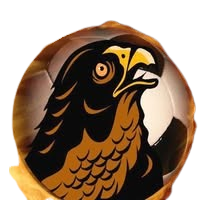 Wappen Sokół Boguchwałów