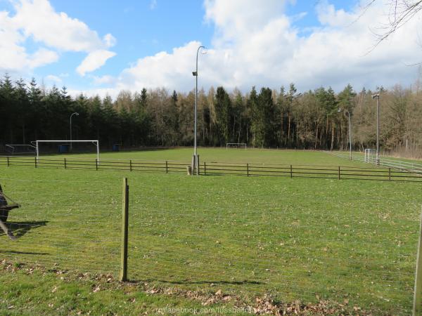 Waldstadion - Greiz-Untergrochlitz