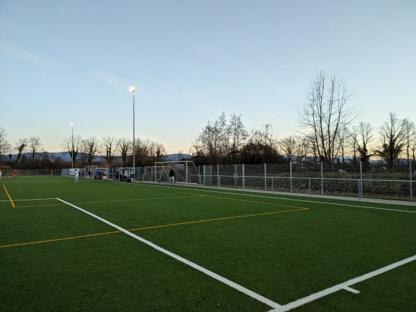 Waldeckstadion Nebenplatz 1 - Reute/Breisgau