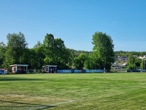 Bjerke stadion gress - Maura