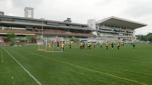 Centaurus Sports Park Grass Pitch - Singapore