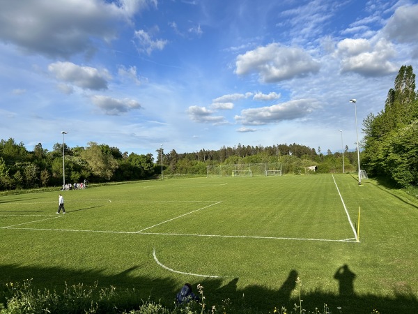Phönix-Sportgelände Platz 2 - Pfalzgrafenweiler