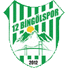 Wappen 12 Bingölspor