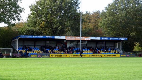 Sportpark De Bosrand veld 2-hoofdveld - Twenterand-Vroomshoop