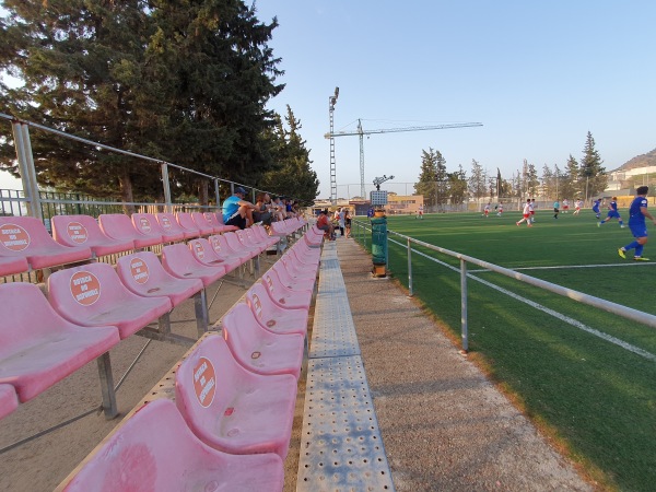 Campo Municipal Patricio Pelegrín - Beniaján, MC