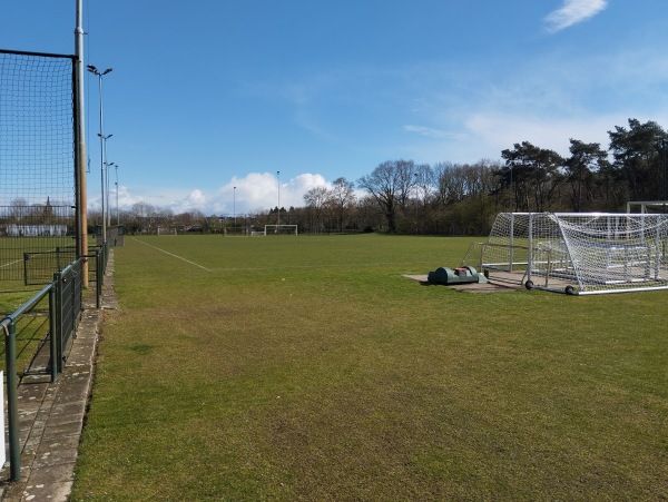 Sportpark Kerkebos veld 3 - Horst aan de Maas-Swolgen