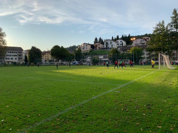 Sportplatz Grenzhof - Luzern