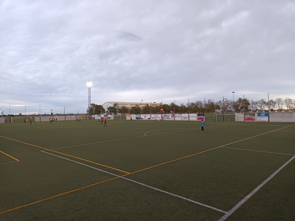 Camp del Pla II - Alcácer (Alcàsser), VC