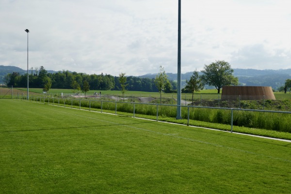 Sportanlage Meierwiesen Platz 3 - Wetzikon