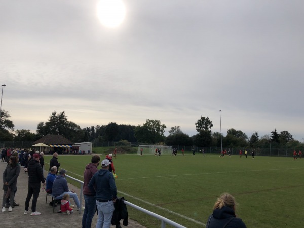 Sportanlage an der Elz Platz 2 - Waldkirch-Buchholz