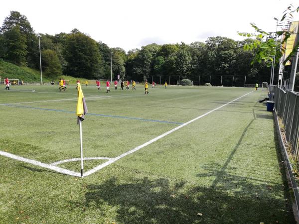 Sportpark De Pinkenberg veld 2-VVO - Rozendaal